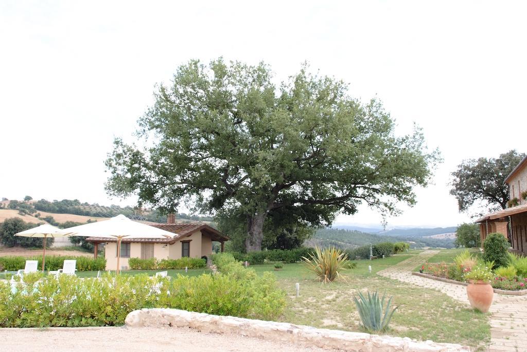 Podere Fingardella Affittacamere Paganico Esterno foto